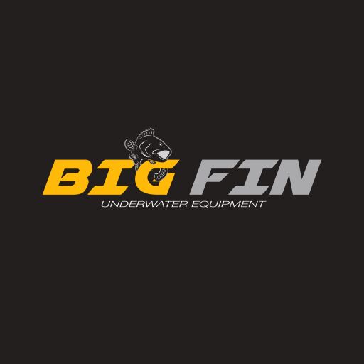 BİGFİN